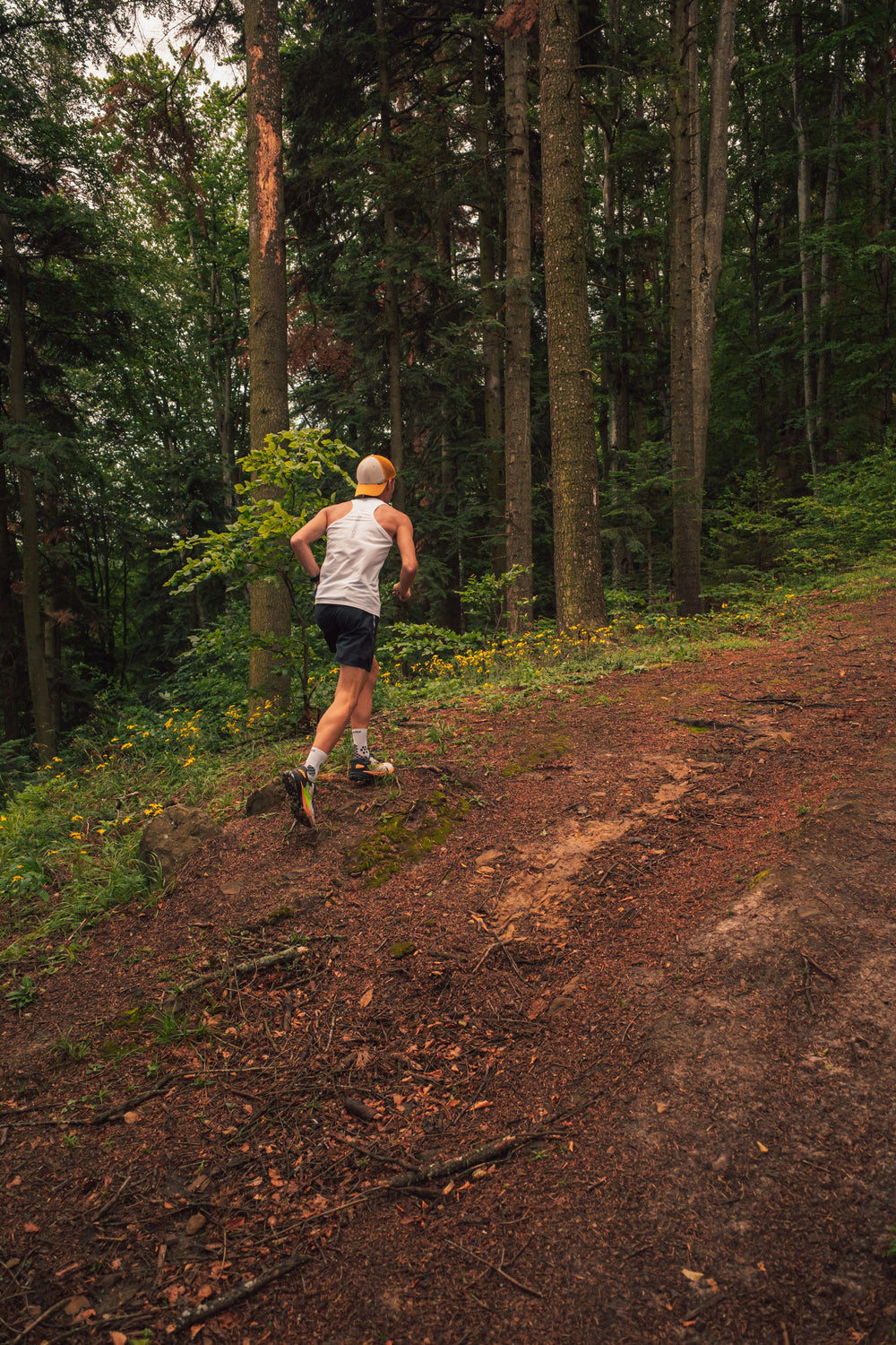 Runner on a forest path in summer